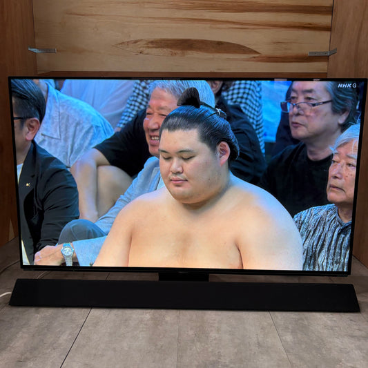 4K有機ELテレビ　Panasonic パナソニック　VIERA ビエラ　2018年製　55インチ