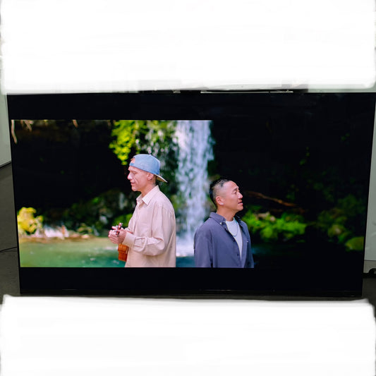 4K有機ELテレビ　SONY ソニー　BRAVIA ブラビア　2022年製　65インチ